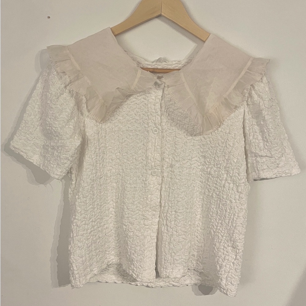 Organza peter pan collar button-up blouse